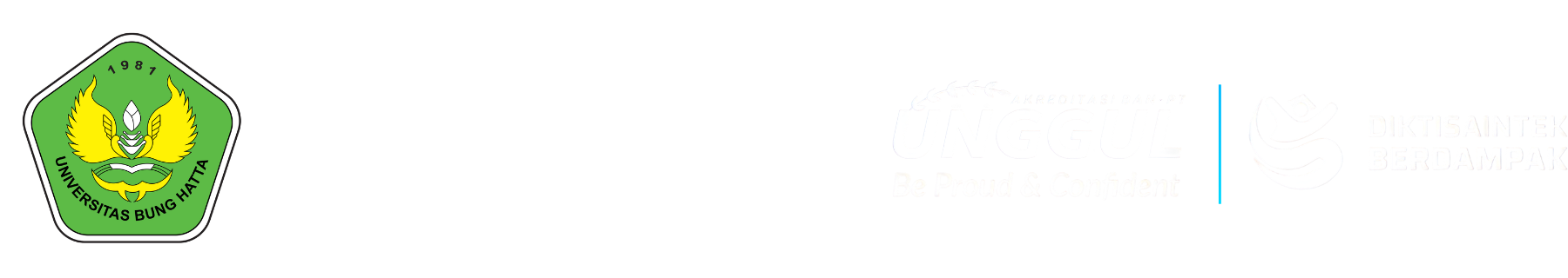 Universitas Bung Hatta